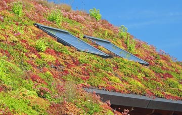 Cudworth Common living roof systems