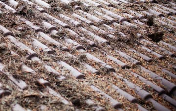 Cudworth Common roof cleaning companies